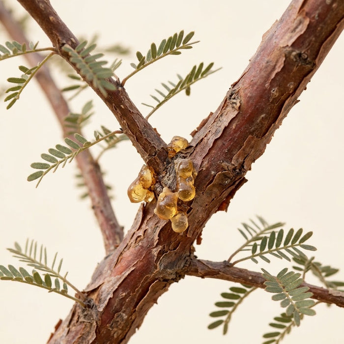 Frankincense