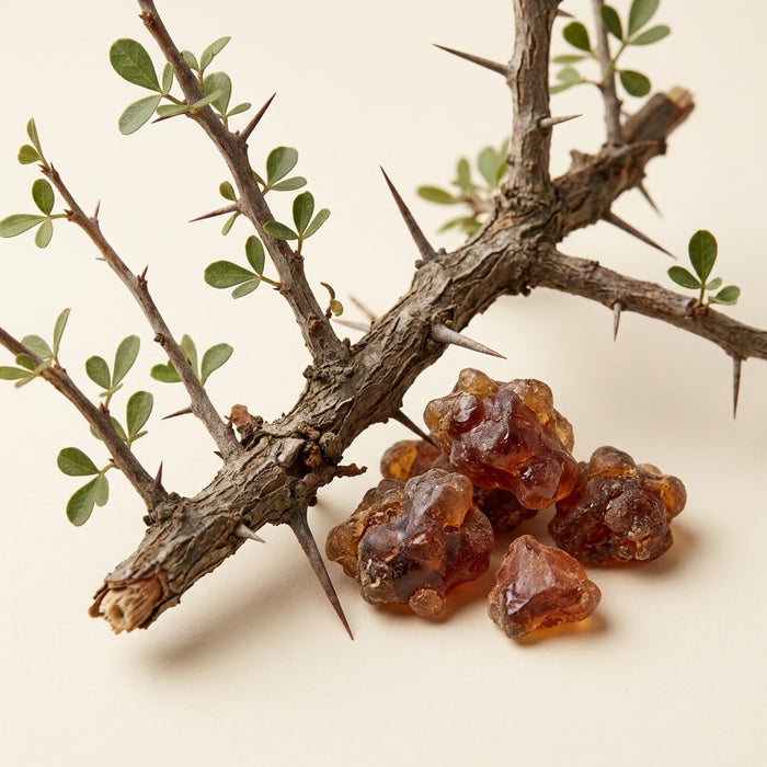 Myrrh